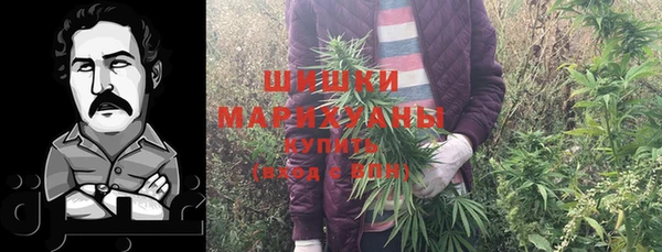 mix Богородск