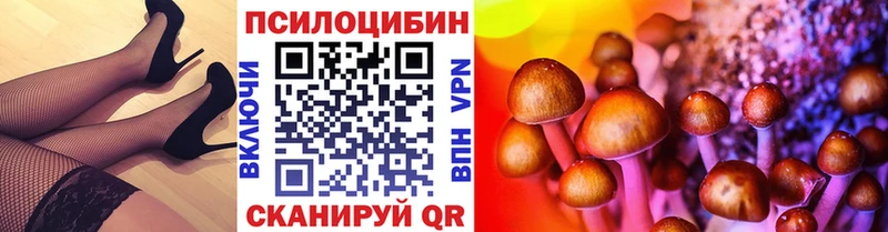 Псилоцибиновые грибы Magic Shrooms  Качканар 